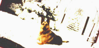 Duchess (1963-1975)