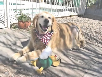 Teddi 13 Sep 1997-13 May 2006